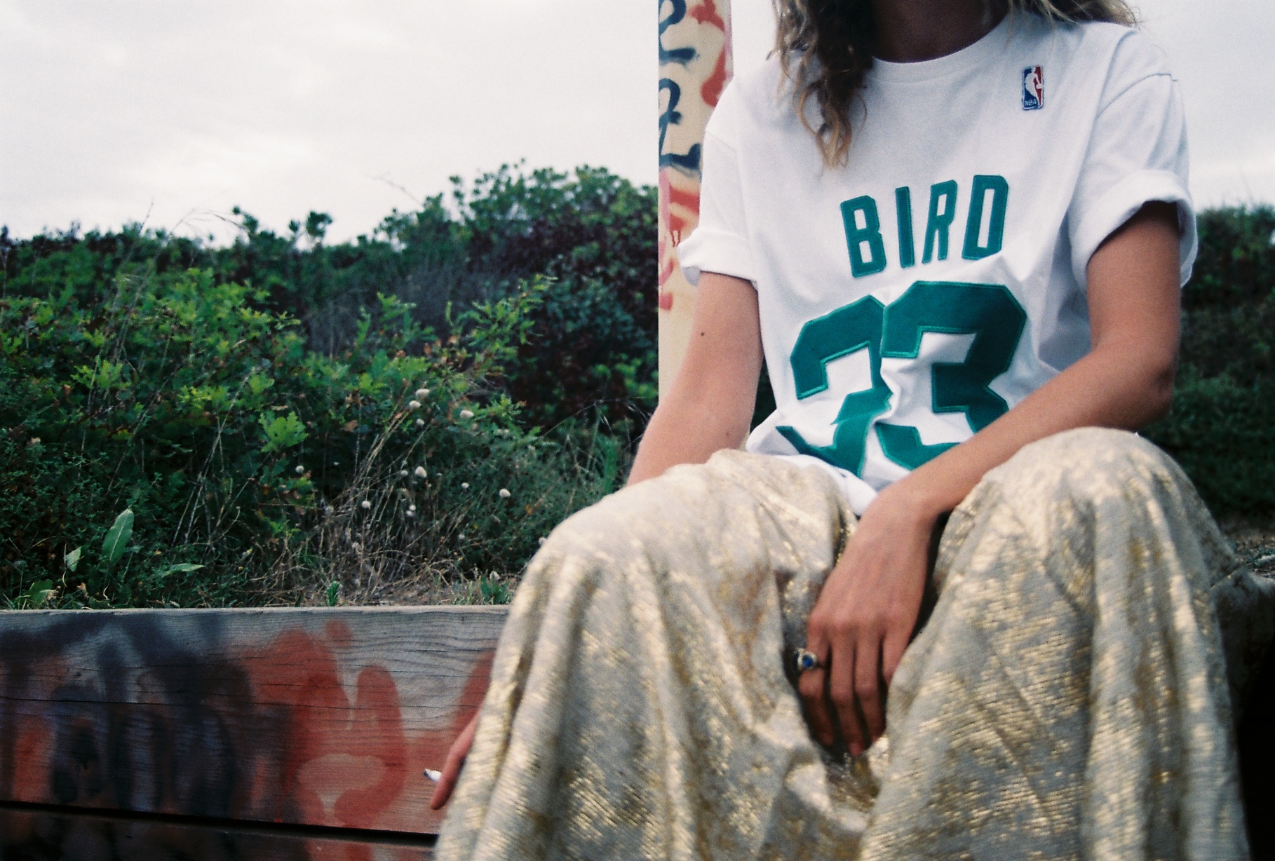 bird assis